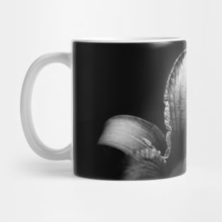 Flower with Black Background Mug